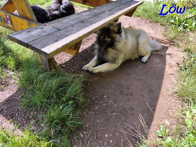 28.7.2025 - Schattensucher